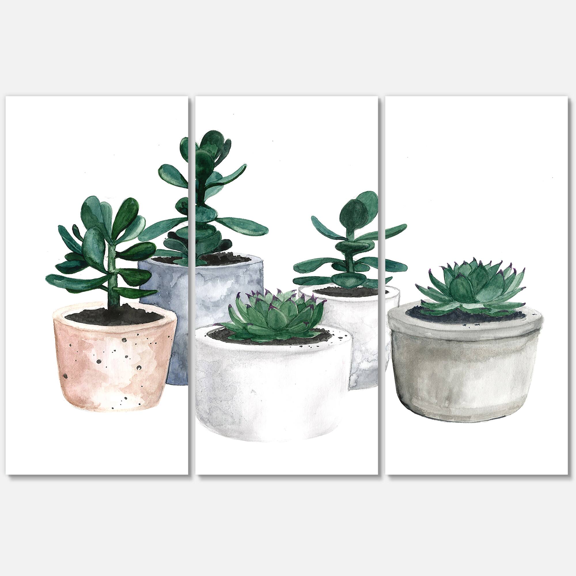 Designart - Cactus and Succulent House Plants VI